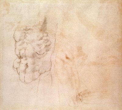 Torsostudie von Michelangelo Buonarroti